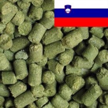Styrian Goldings 3,4% (2022) - 100 g pellets