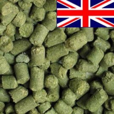 East Kent Goldings 5,4% (2022) - 100 g pellets